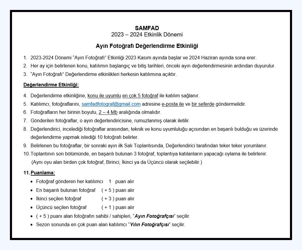 Ayın Fotoğrafı Değerlendirme Etkinliği