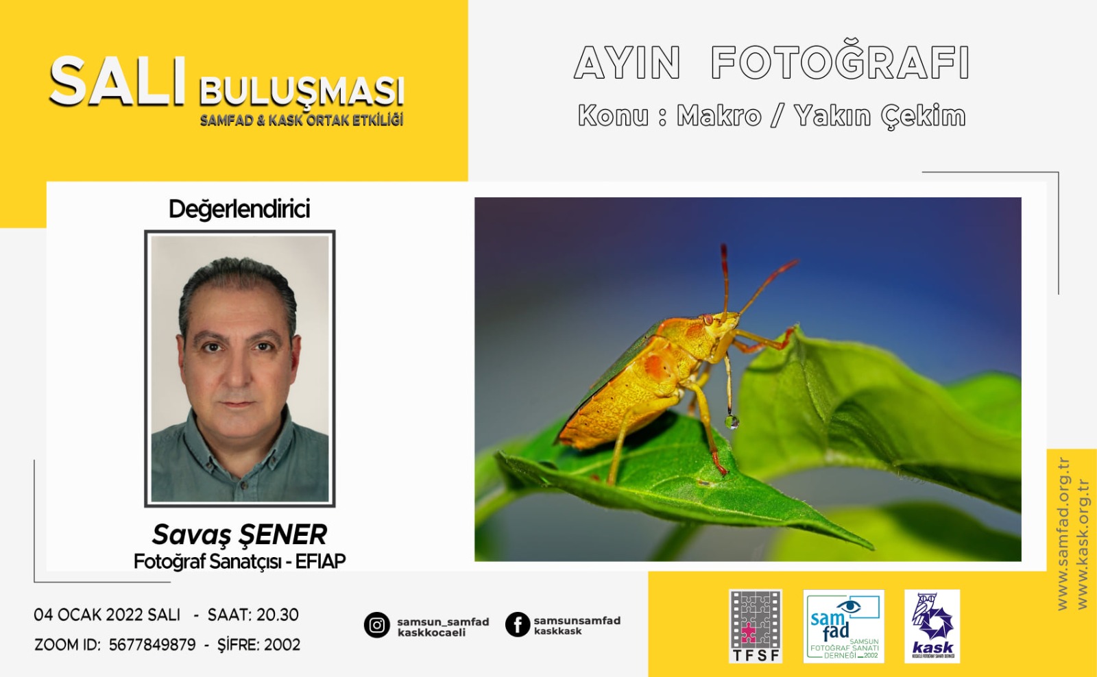 AYIN FOTOĞRAFI: Makro / Yakın Çekim