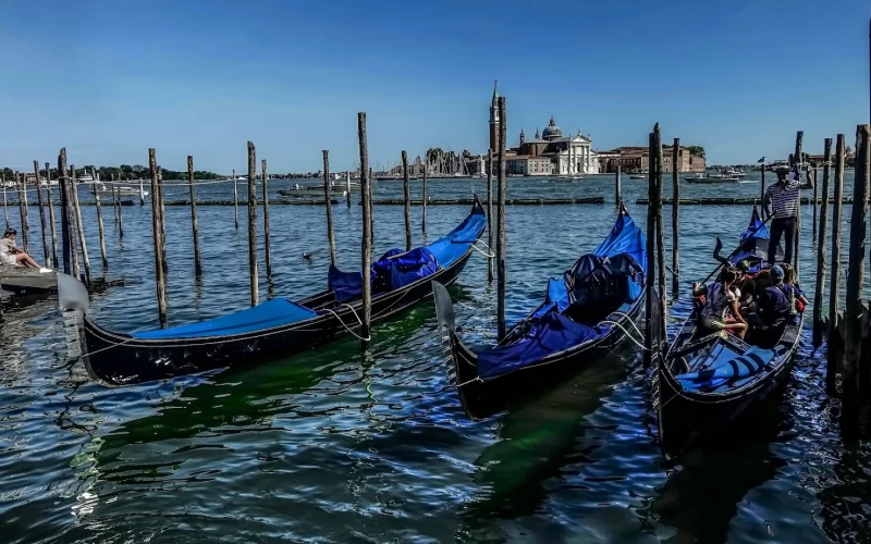 Aygül Aydın DURMUŞOĞLU