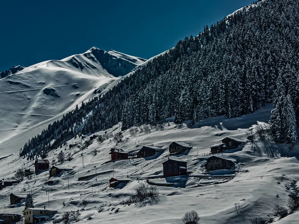 Aygül Aydın DURMUŞOĞLU