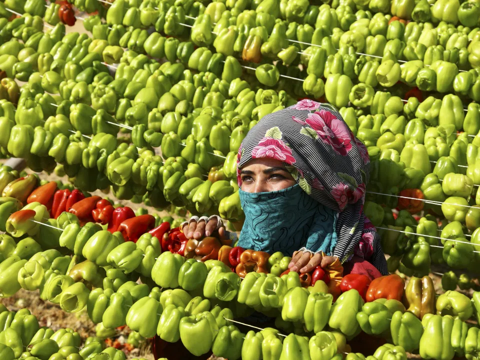 Zerrin Yanıkömeroğlu (GİFOD)