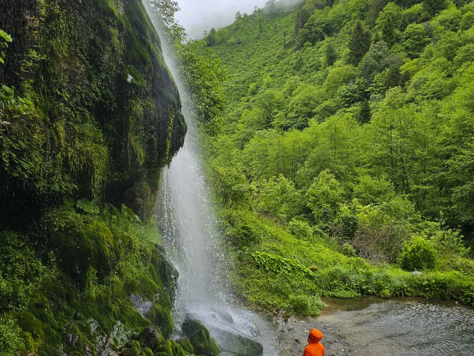 Aysın Gözen (GİFOD)