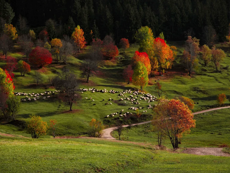 Murathan Bayrak (Trabzon Fotoğrafevi)